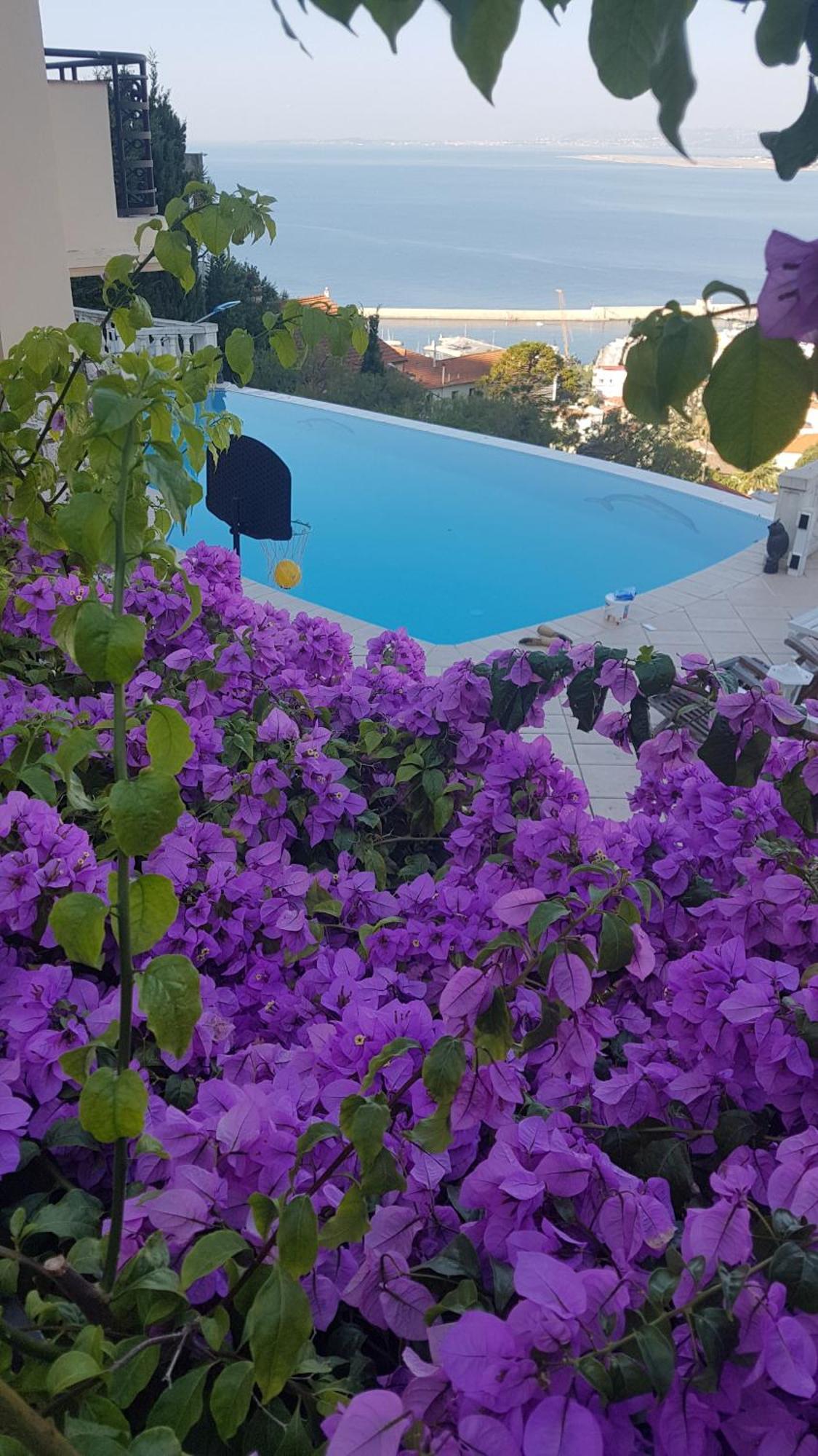 Villa Roc Maria Lucia Nice